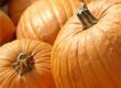 Pumpkin Recipe Ideas for Halloween