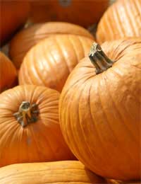 Harvest Halloween Recipes Seasonal Food