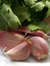 Seasonal Spring Vegetables