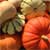 Healthy Harvest Food Ideas